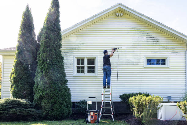 Best Local Pressure Washing Services  in Brice Prairie, WI